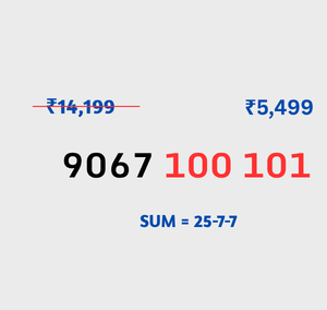 9067 100 101