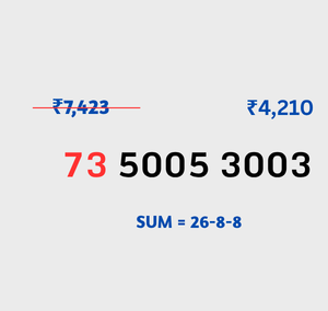 73 5005 3003
