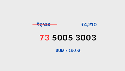 73 5005 3003